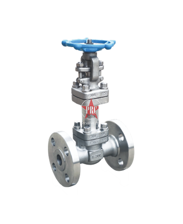 WZ41Y-300LB