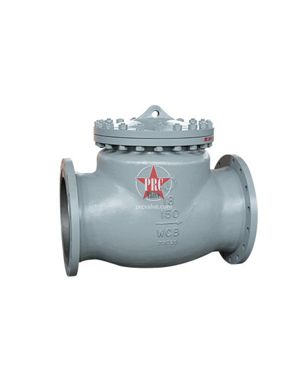 Swing Check Valve