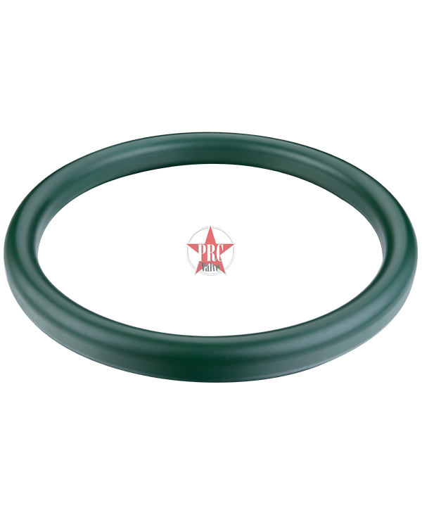Sprayed Teflon oval gasket
