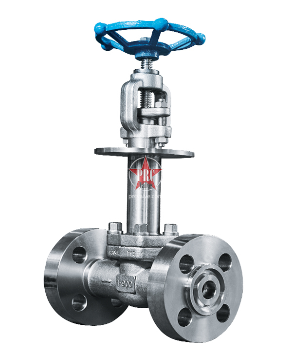 Forged Steel Cryogenic Globe Valve