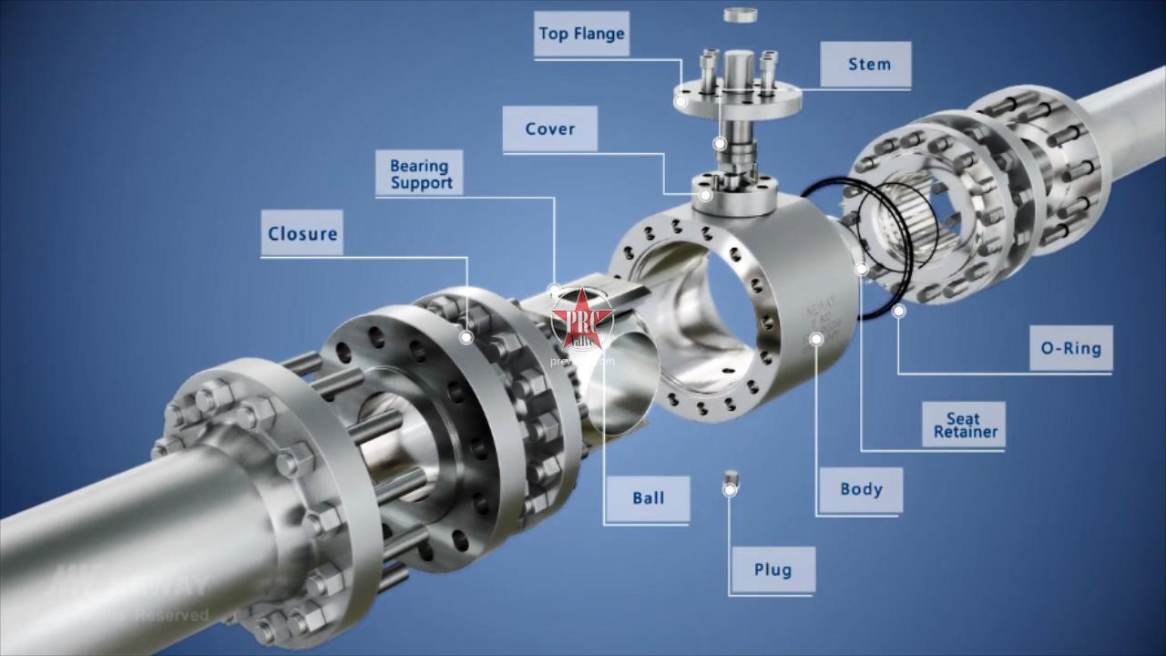 Neway Trunnion Ball Valve SPE vs DPE 阀数 中阀企数据