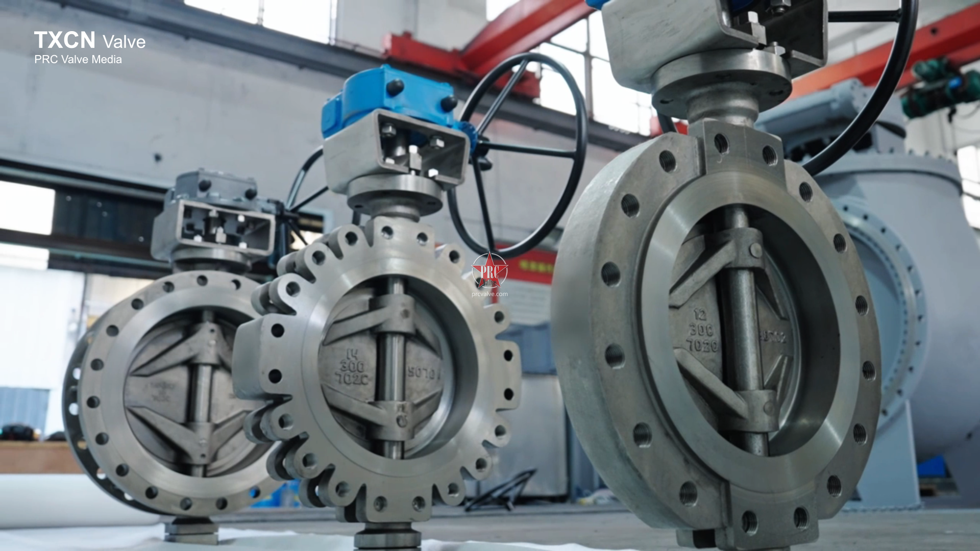 12-D373PPL-300LB  14-D373PPL-300LB 美标凸耳蝶-太星