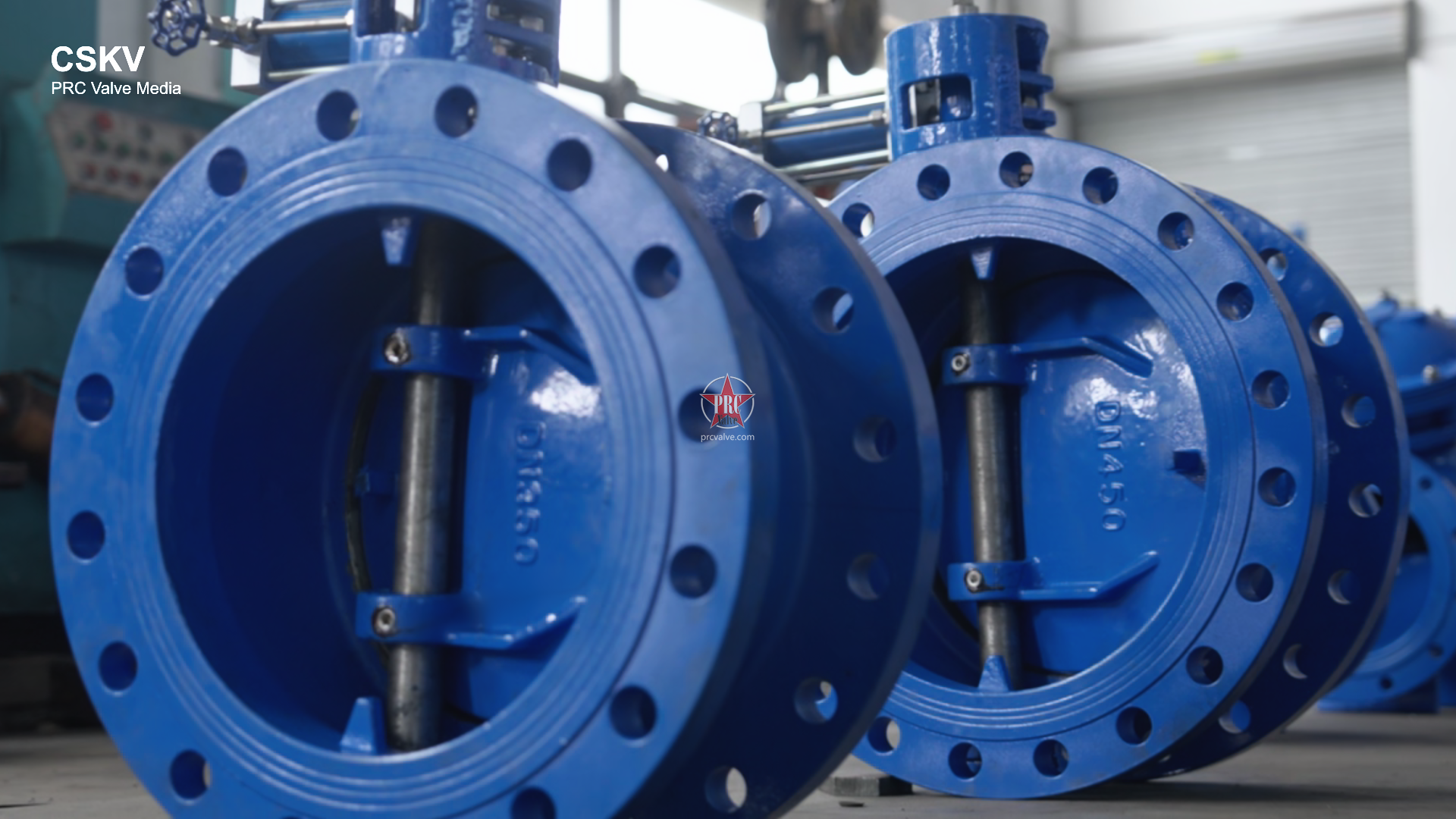 DN450 Butterfly-Type Cushion Check Valve—Suke