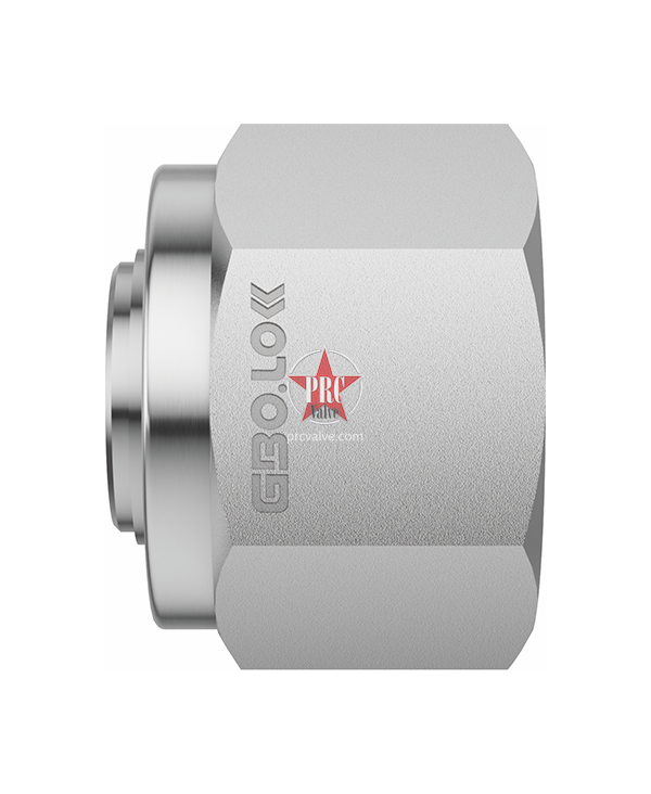 Ferrule Plugs