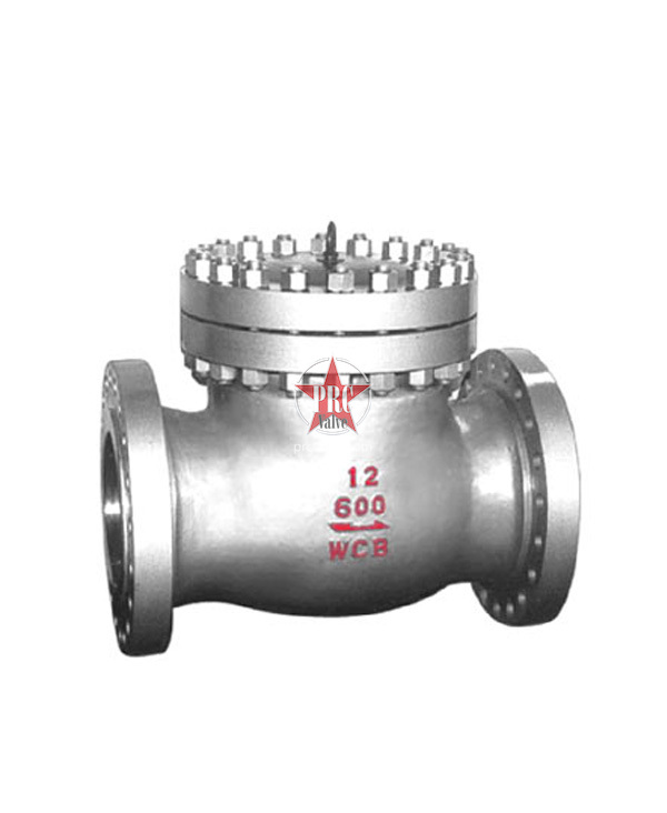 Power Station Swing Check Valve
