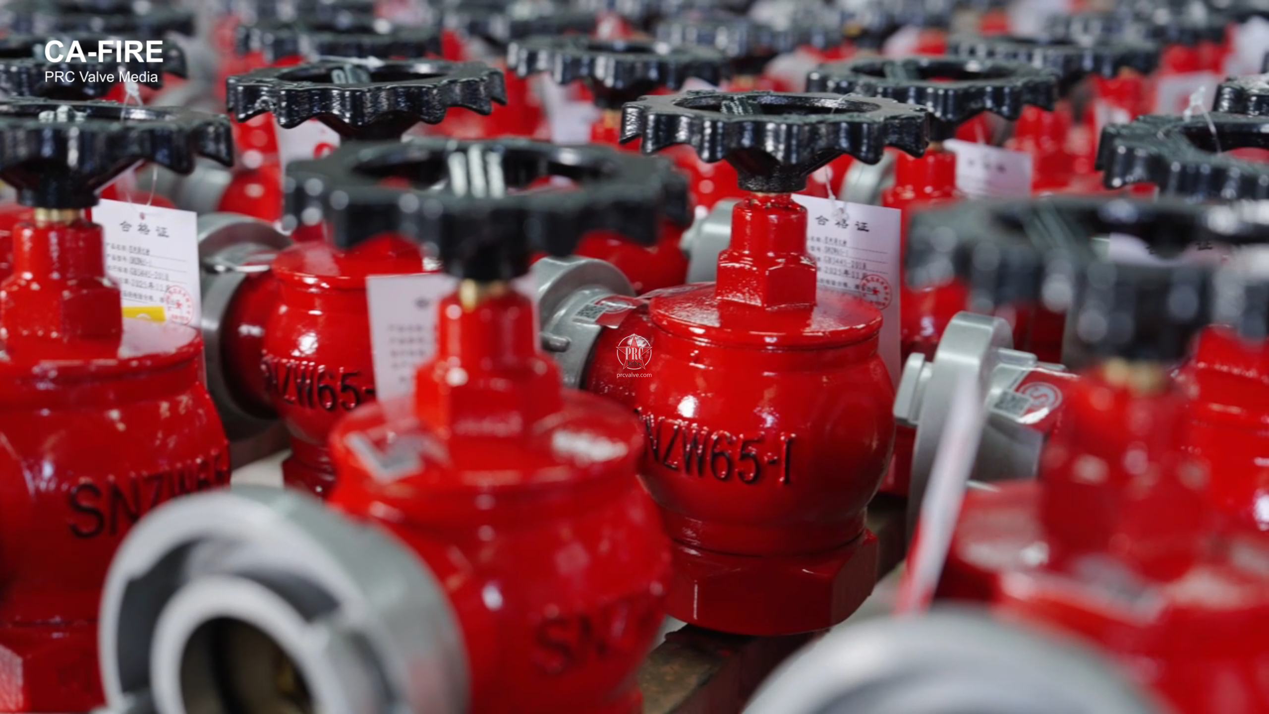 SNZW65-I 室内消火栓-川安