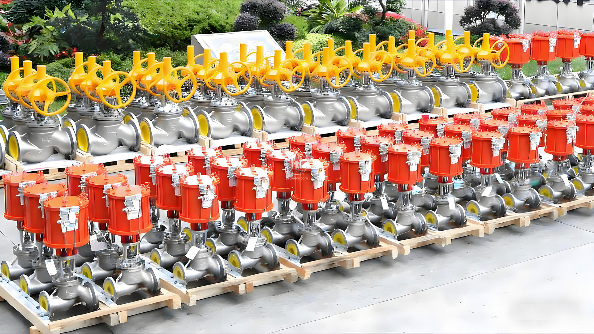 良固截止阀助力产朊假丝酵母蛋白项目，赋能生物发酵高质量发展