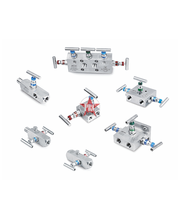 Gauge Valves - Manifolds
