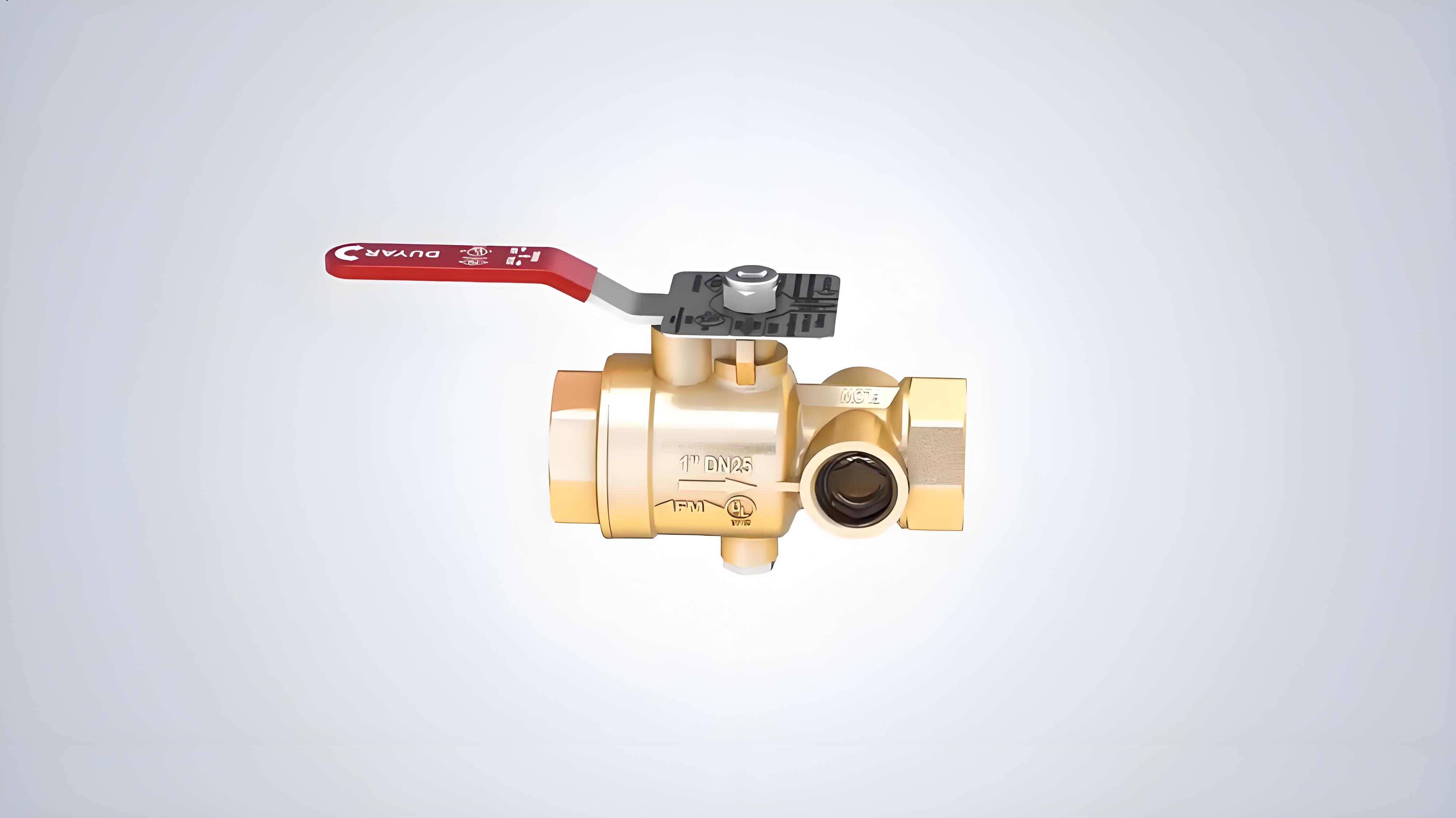 Test and Drain Valve（排放阀）