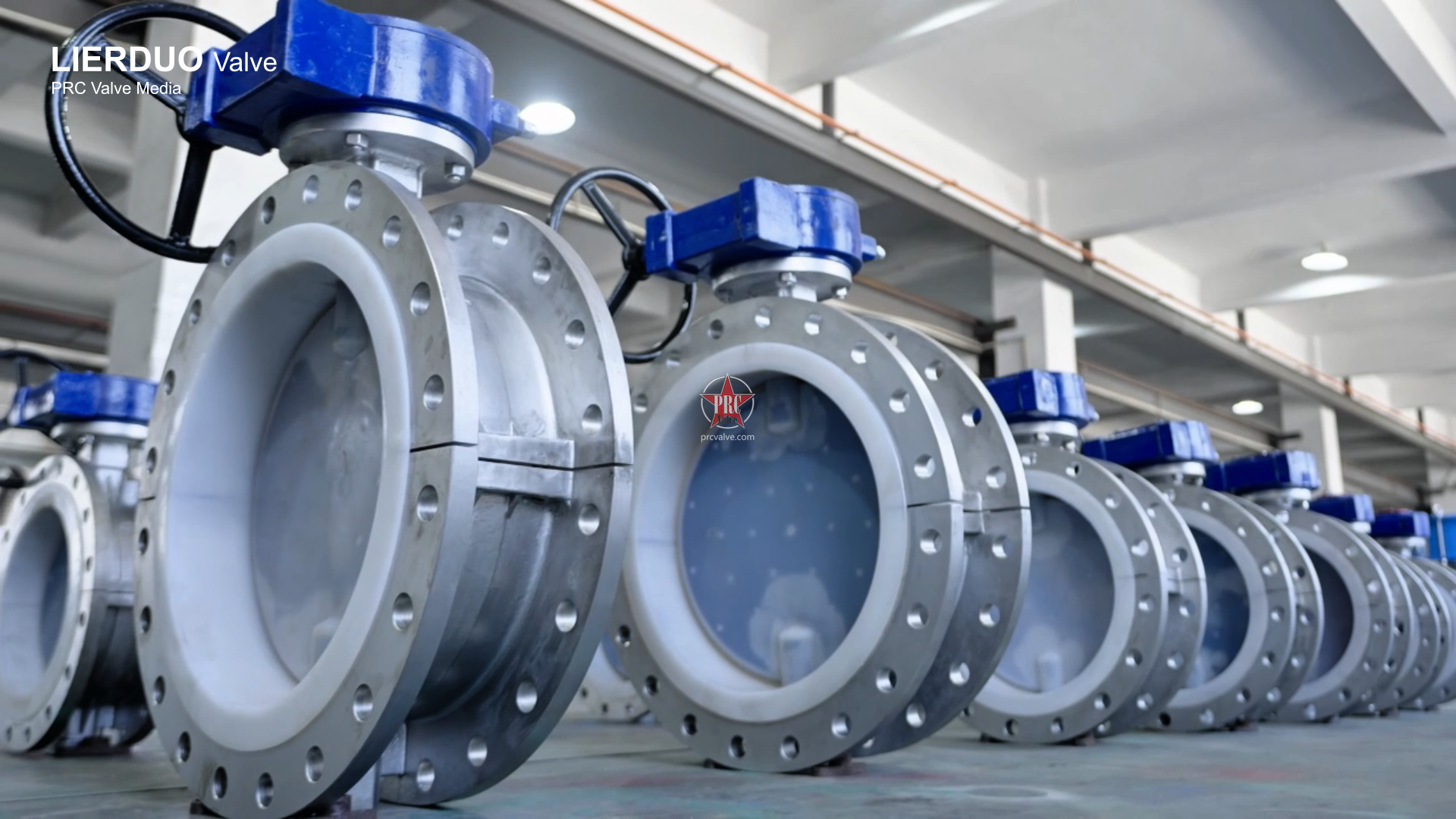 D341F46-16P Worm Gear PTFE-Lined Flanged Butterfly Valve – LIERDUO