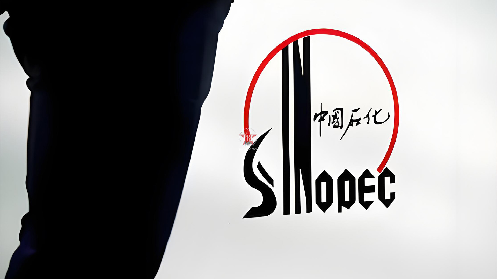 Sinopec Wins Engineering Contract for Saudi Arabian Green Hydrogen Project