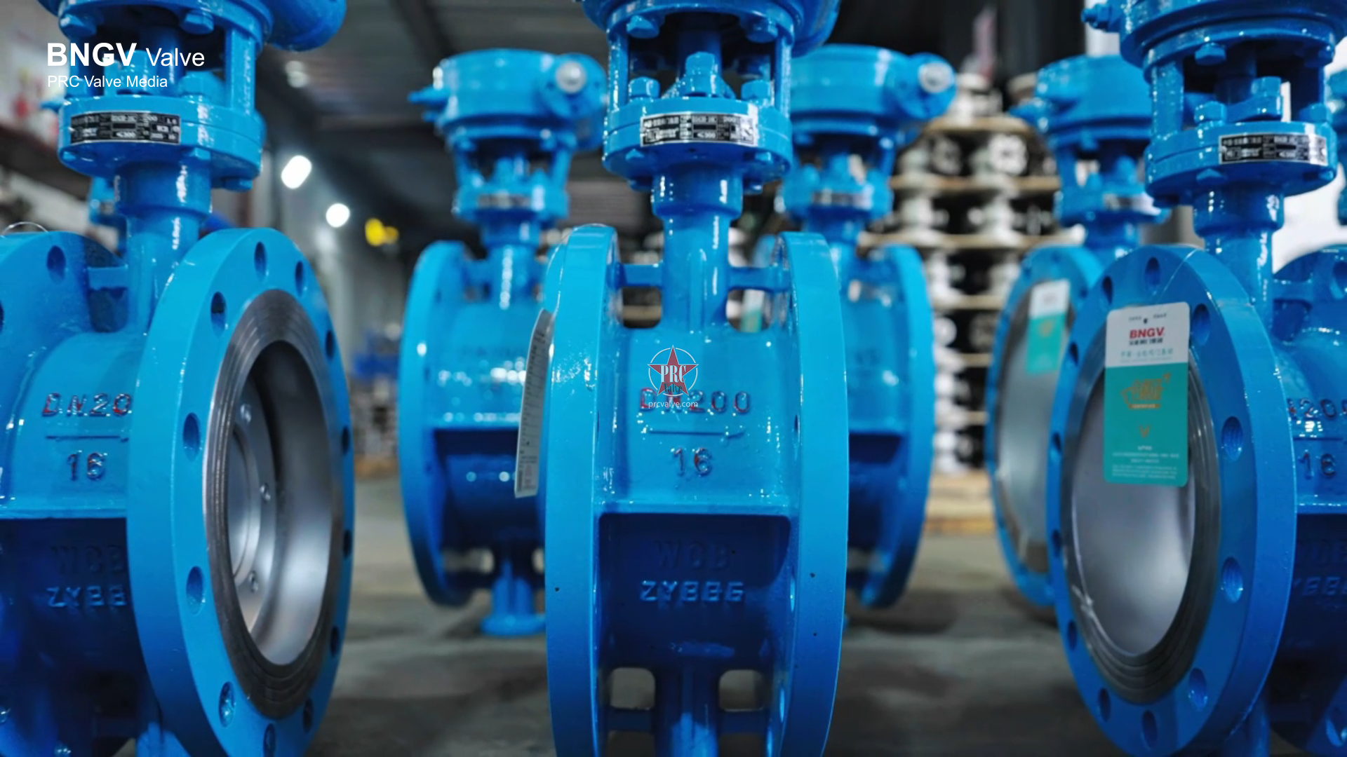 D343H-16C DN250 Butterfly Valve – BaoNeng
